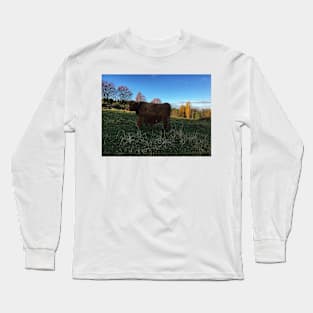 Scottish Highland Cattle Cow and Calf 1570 Long Sleeve T-Shirt